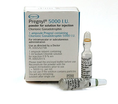 HCG 5000IU (Human Chorionic Gonadotropin)